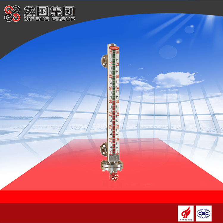 UZC-A02F高溫高壓型磁性液位計