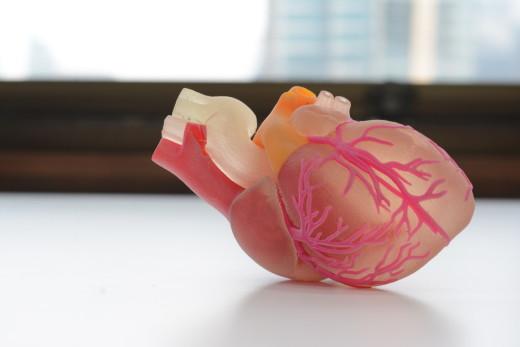 未來(lái)醫(yī)療行業(yè) 3D打印技術(shù)融入其中的四種方式

3D醫(yī)療行業(yè),3D打印心臟,3D打印大腦,3D打印應(yīng)用,3D打印領(lǐng)域,3D打印和醫(yī)療的關(guān)系,3D打印平臺(tái),3D打印服務(wù),3d打印企業(yè)服務(wù)平臺(tái)