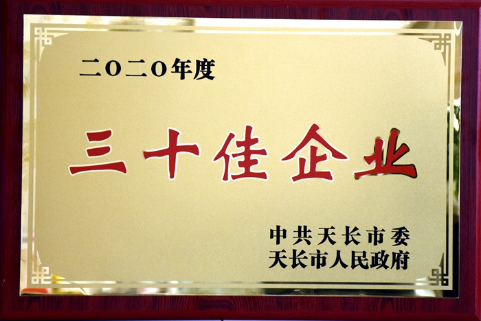 2020年度三十佳企業_副本.jpg